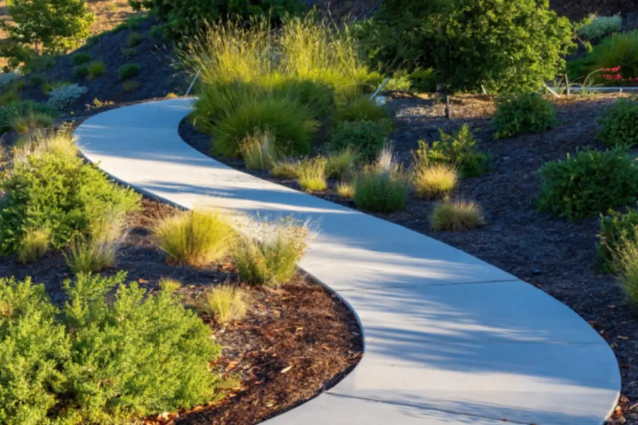 A winding concrete path through a lush, green garden